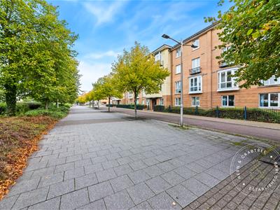 Picture 24